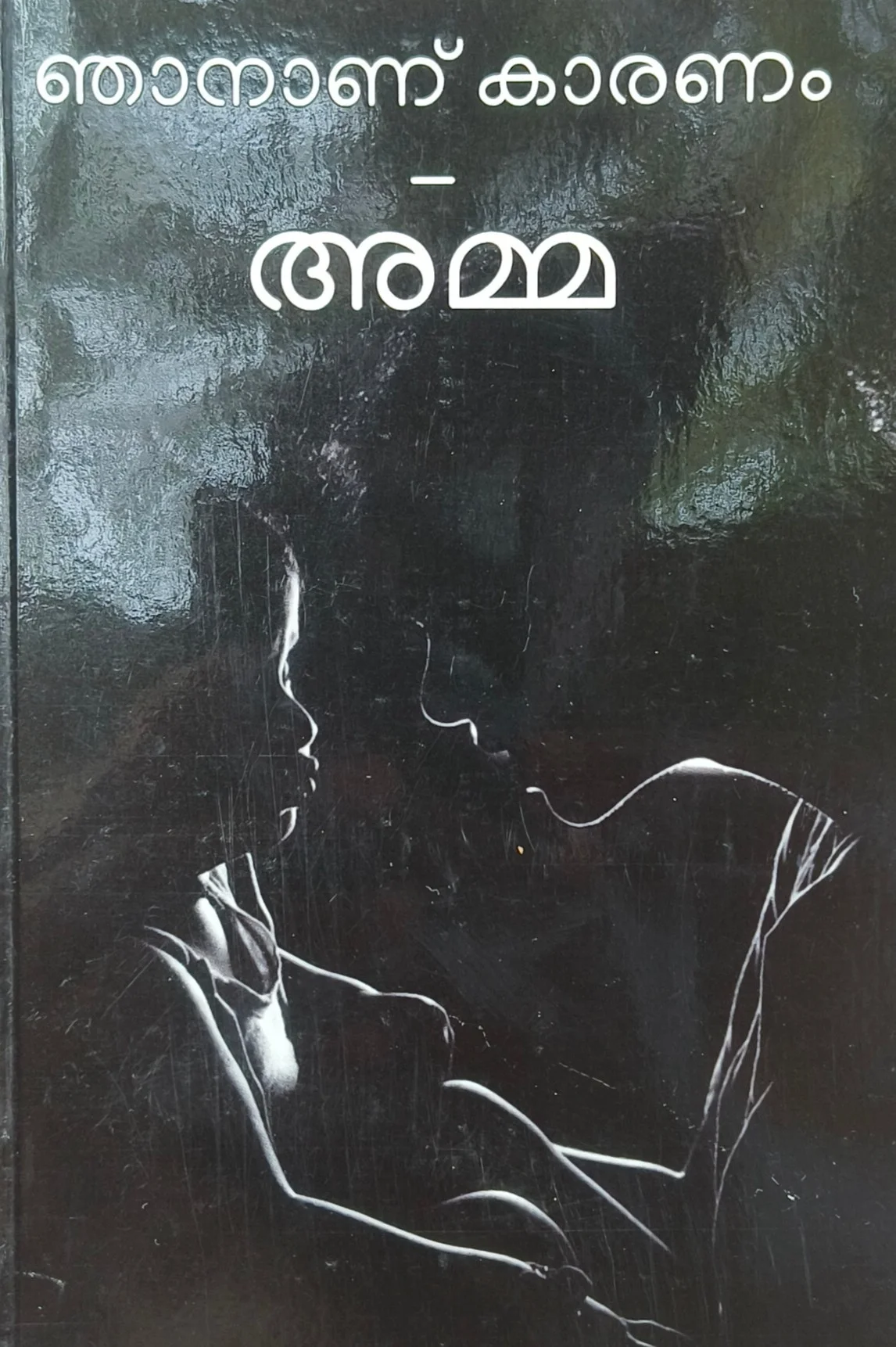 Njananu Karanam Amma